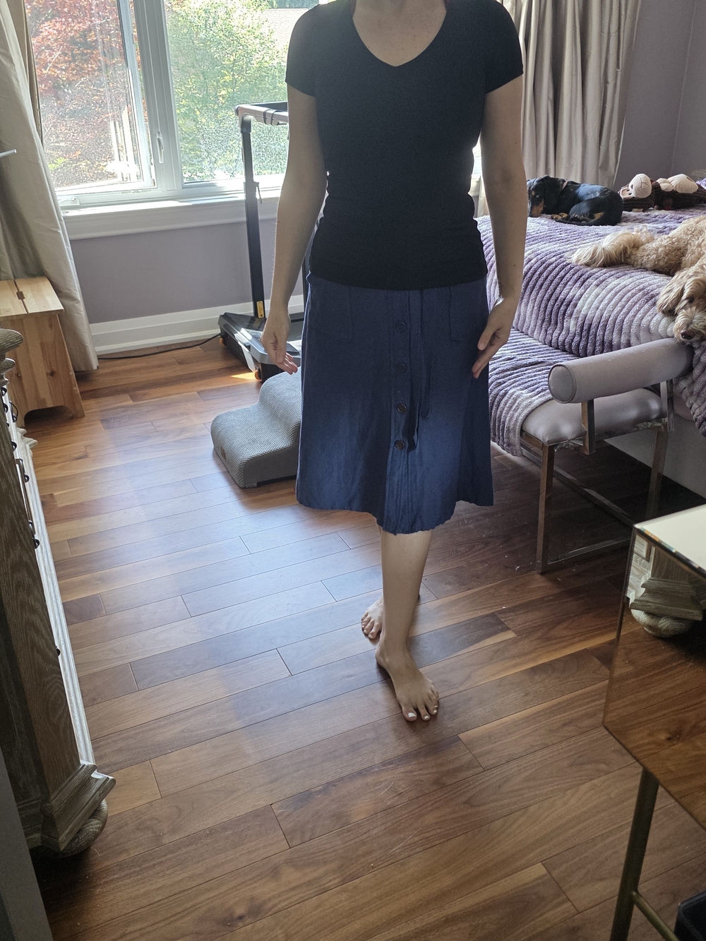 Women's Blue Button-Front A-Line Skirt